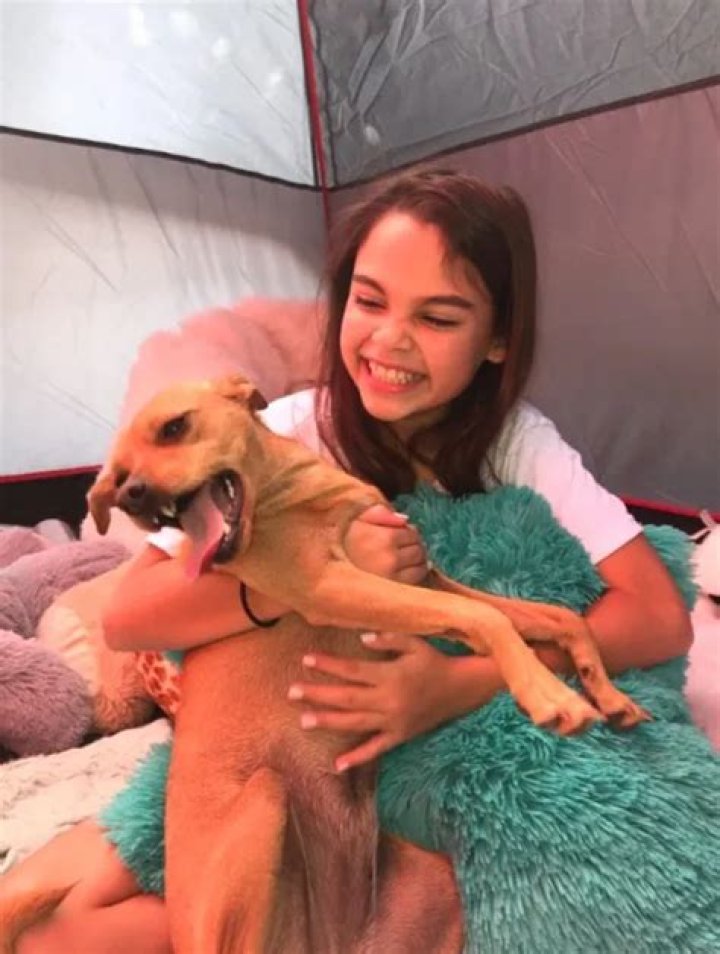 Ariana Greenblatt Pets