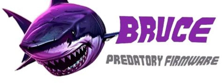 bruce web