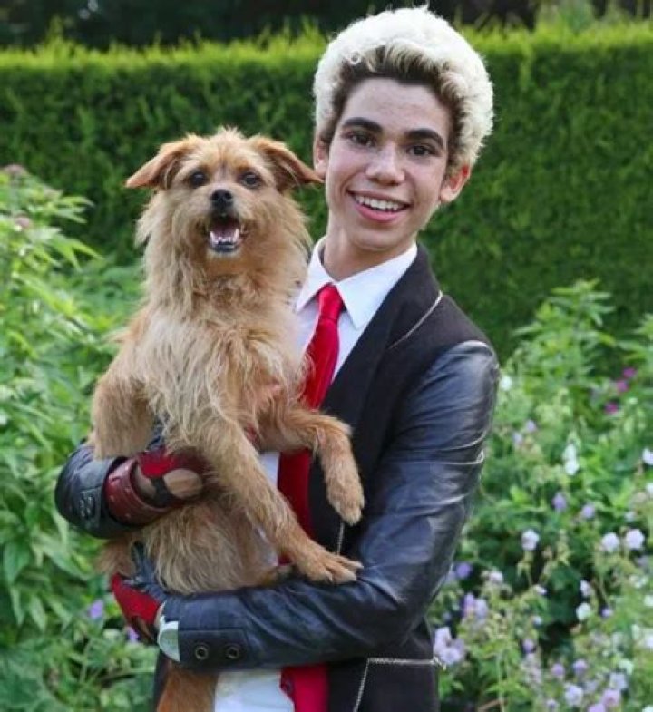 Cameron Boyce Pets