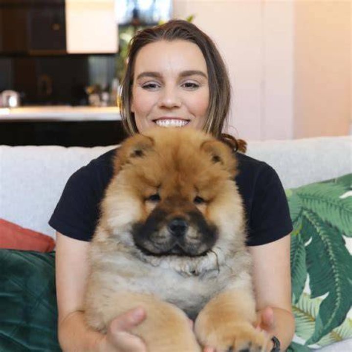 Deligracy Pets