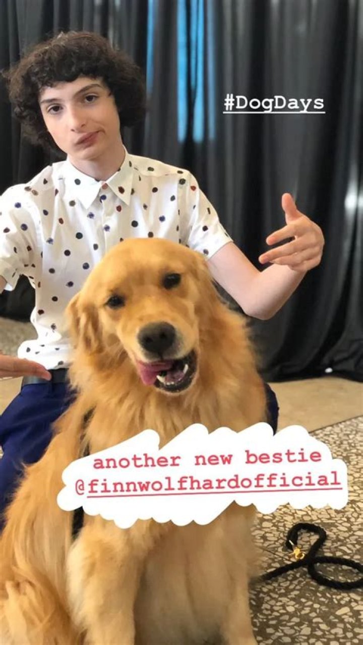 Finn Wolfhard Pets
