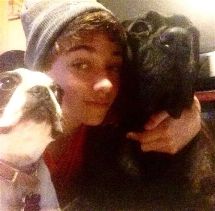 Gavin Casalegno Pets