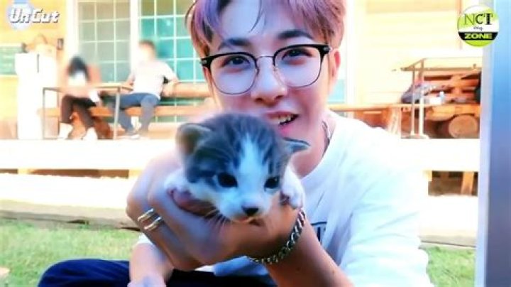 Jaemin Pets