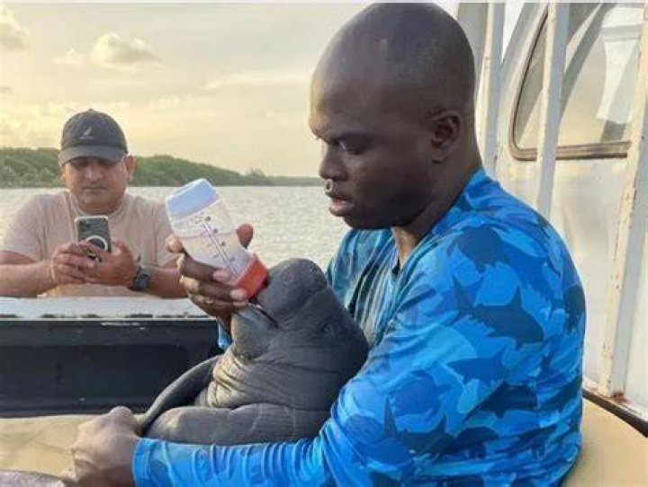 Jamal Galves Manatee Man Florida Belize