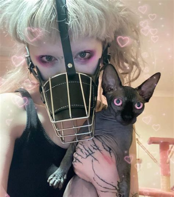 Jazmin Bean Pets