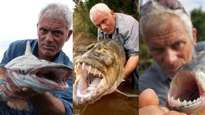 Jeremy Wade photo