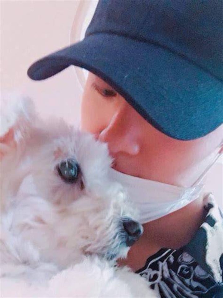 Jin Pets