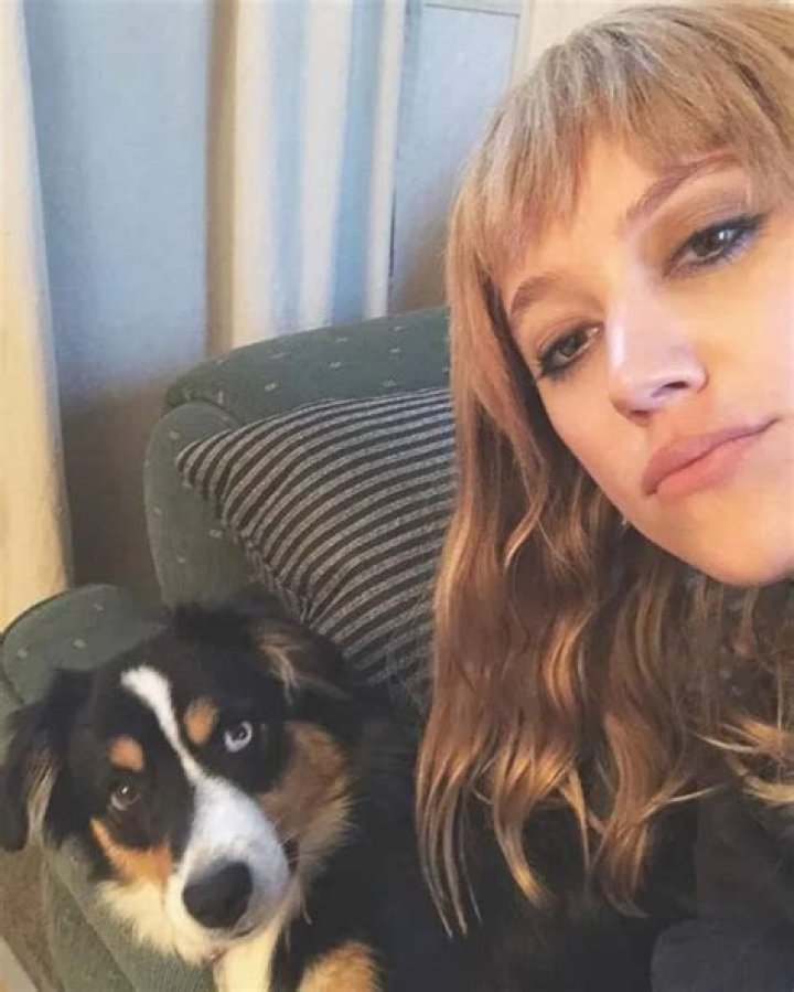 Joe Keery Pets
