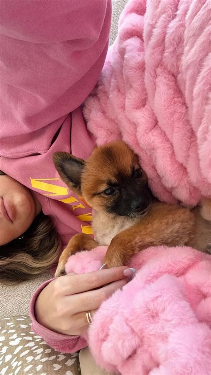 KassaDee Nelson Pets