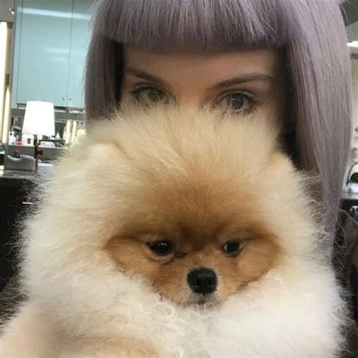 Kelly Osbourne Pets