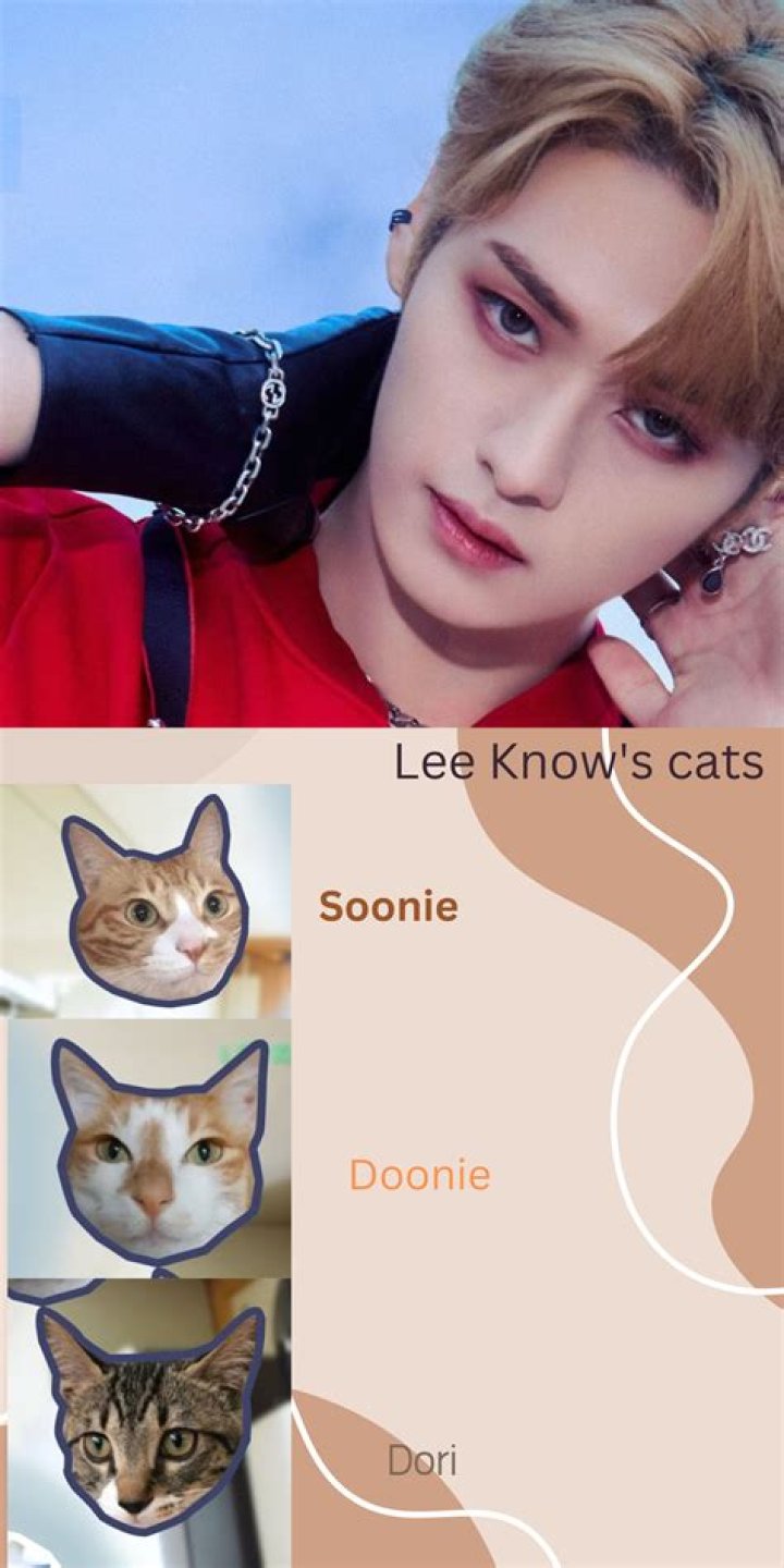 Lee Know Pets