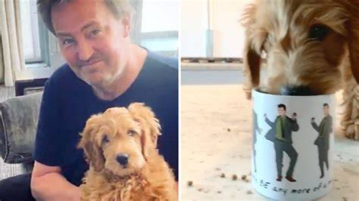 Matthew Perry Pets