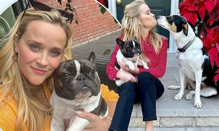 Reese Witherspoon Pets