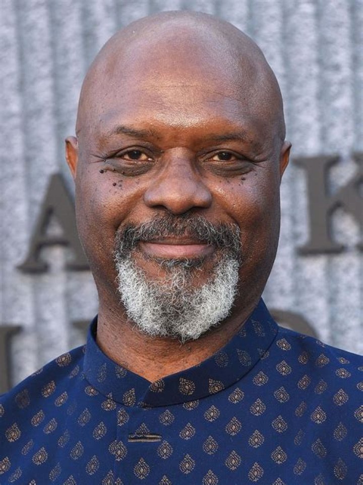 Robert Wisdom photo