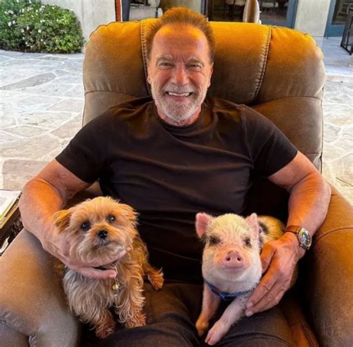 Sylvester Stallone Pets