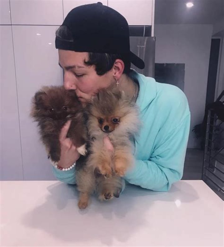 Tayler Holder Pets