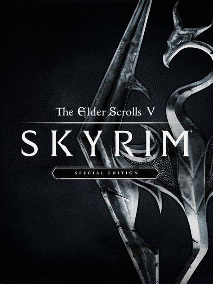 The Elder Scrolls V: Skyrim Official Launch Party - Red Carpet