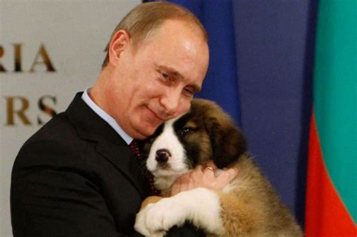 Vladimir Putin Pets