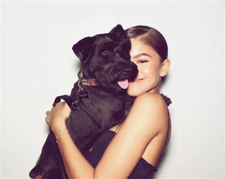 Zendaya Pets